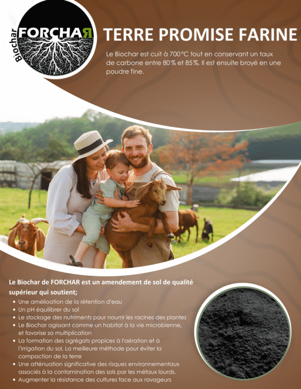 Terre Promise Farine
