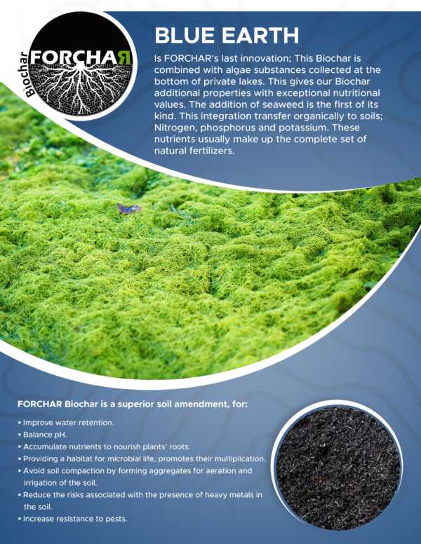 Terre Bleu – Image 2