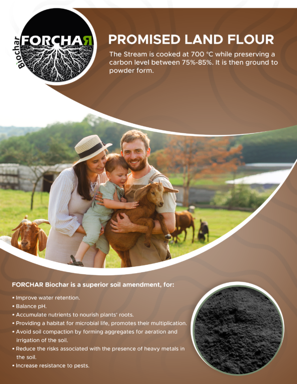 Terre Promise Farine – Image 2